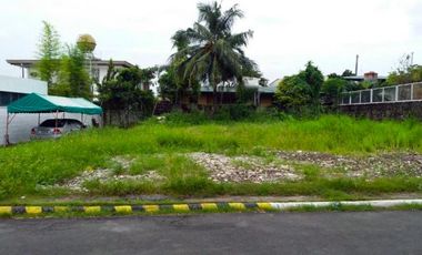 Large Vacant Lot for Sale City at Parañaque, Metro Manila