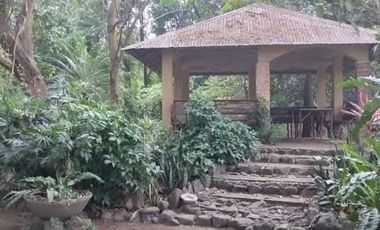 Wildlife Farm Hacienda House & Land 2.3 Hectares in Botolan, Zambales for Sale