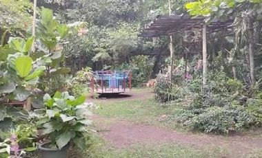 Wildlife Farm Hacienda House & Land 2.3 Hectares in Botolan, Zambales for Sale