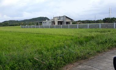 For Sale! Agriculture lot or Residential Lot