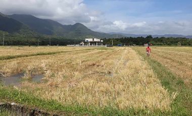 For Sale! Agriculture lot or Residential Lot