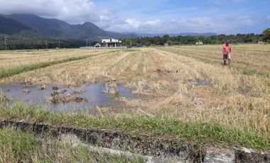 For Sale! Agriculture lot or Residential Lot