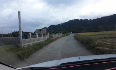 For Sale! Agriculture lot or Residential Lot