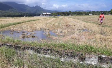 For Sale! Agriculture lot or Residential Lot
