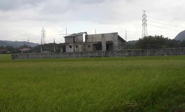 For Sale! Agriculture lot or Residential Lot