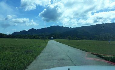 For Sale! Agriculture lot or Residential Lot