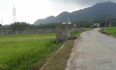 For Sale! Agriculture lot or Residential Lot