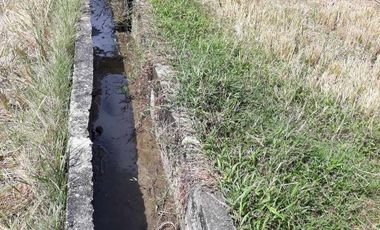 For Sale! Agriculture lot or Residential Lot