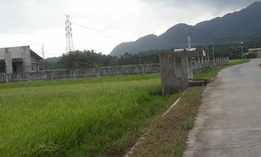 For Sale! Agriculture lot or Residential Lot
