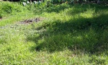 Commercial Lot for rent in Zanzibar Street, Sitio 7, San Isidro, District I, Makati, Southern Manila District