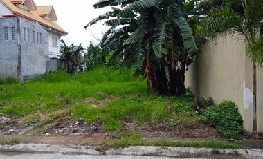 Stunning Commercial Lot for Sale in Sucat, Paranaque City