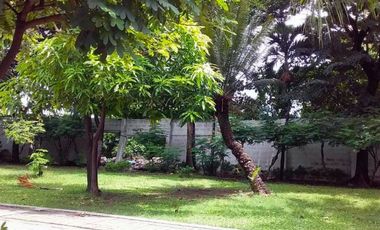 Stunning Commercial Lot for Sale in Sucat, Paranaque City