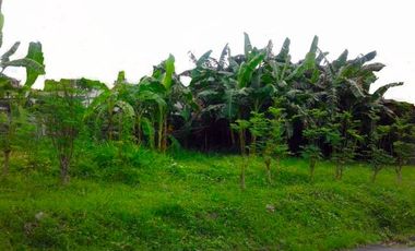 Stunning Commercial Lot for Sale in Sucat, Paranaque City