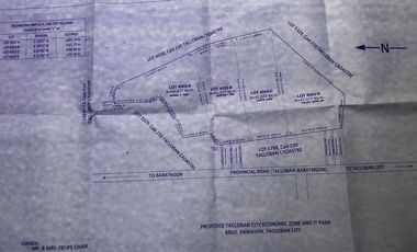For Sale 16-Hectares Lot in Tacloban Ideal for Processing Zone, Tacloban City