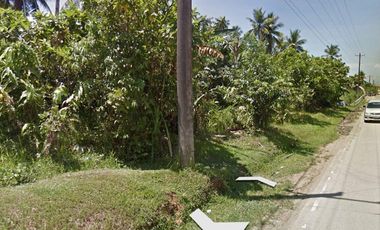 For Sale 16-Hectares Lot in Tacloban Ideal for Processing Zone, Tacloban City