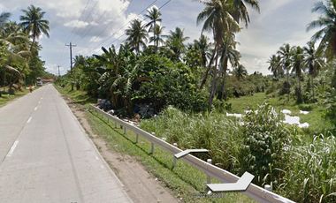 For Sale 16-Hectares Lot in Tacloban Ideal for Processing Zone, Tacloban City