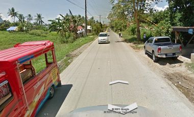 For Sale 16-Hectares Lot in Tacloban Ideal for Processing Zone, Tacloban City