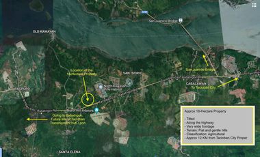 For Sale 16-Hectares Lot in Tacloban Ideal for Processing Zone, Tacloban City