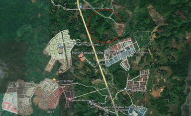 For Sale 16-Hectares Lot in Tacloban Ideal for Processing Zone, Tacloban City