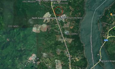 For Sale 16-Hectares Lot in Tacloban Ideal for Processing Zone, Tacloban City