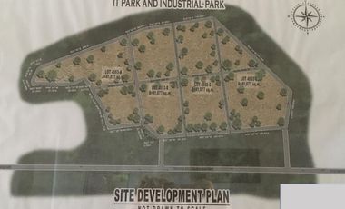 For Sale 16-Hectares Lot in Tacloban Ideal for Processing Zone, Tacloban City