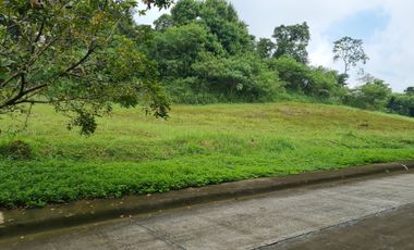 The Grove at Havila