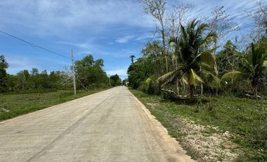 Whole lot for Sale : 5,485 sqm for only 5,500 per sqm - Total Price : 30,167,500