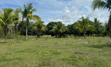 Whole lot for Sale : 5,485 sqm for only 5,500 per sqm - Total Price : 30,167,500
