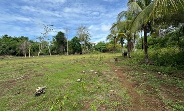 Whole lot for Sale : 5,485 sqm for only 5,500 per sqm - Total Price : 30,167,500