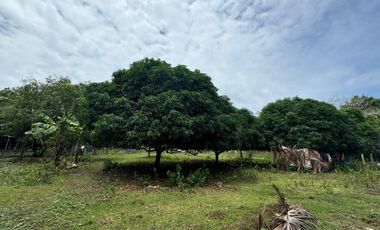 Whole lot for Sale : 5,485 sqm for only 5,500 per sqm - Total Price : 30,167,500