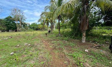 Whole lot for Sale : 5,485 sqm for only 5,500 per sqm - Total Price : 30,167,500