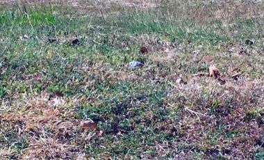 Exclusive Commercial Lot for Sale in Paranaque City