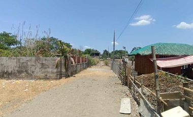 Residential lot in Asan Sur, Sison, Pangasinan near national road