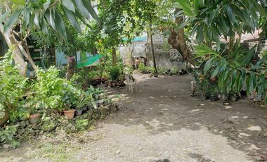 500 sqm Residential Lot in Brgy. Marulas, Valenzuela City FOR SALE