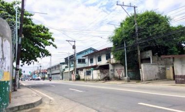 Commercial Land for Sale in Quirino Avenue, Paranaque City