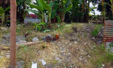 Commercial Land for Sale in Quirino Avenue, Paranaque City