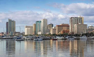 Commercial Land for Sale in Quirino Avenue, Paranaque City