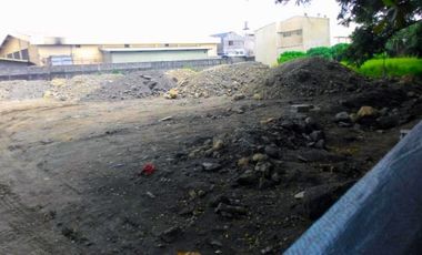 Commercial Land for Sale in Quirino Avenue, Paranaque City