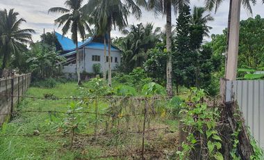Siargao Corner Lot Commercial Property along Tourism Road Catangnan General Luna