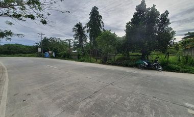 Siargao Corner Lot Commercial Property along Tourism Road Catangnan General Luna