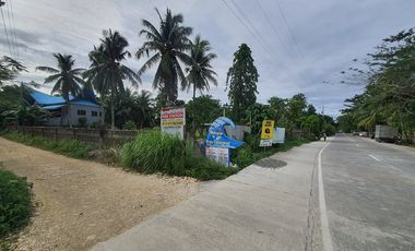 Siargao Corner Lot Commercial Property along Tourism Road Catangnan General Luna
