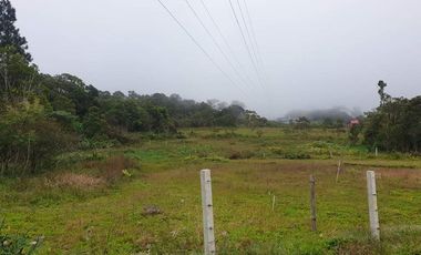 For Sale Mini-Farmlot @ San Isidro, Lunotan, Gingoog City, MIs Or.