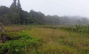 For Sale Mini-Farmlot @ San Isidro, Lunotan, Gingoog City, MIs Or.
