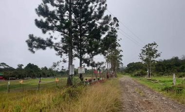 For Sale Mini-Farmlot @ San Isidro, Lunotan, Gingoog City, MIs Or.