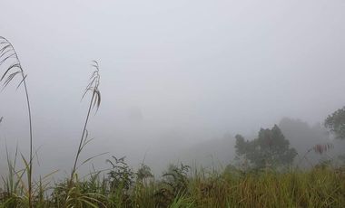 For Sale Mini-Farmlot @ San Isidro, Lunotan, Gingoog City, MIs Or.