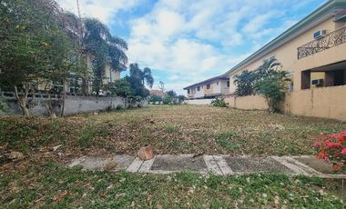 Residential Lot for Sale in Brentville International Biñan Laguna