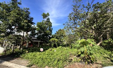 For Sale: 303sqm Residential Lot at Cottonwood Heights in Antipolo City, Rizal