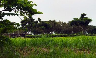 Stunning Vacant Lot for Sale in Sucat, Paranaque City