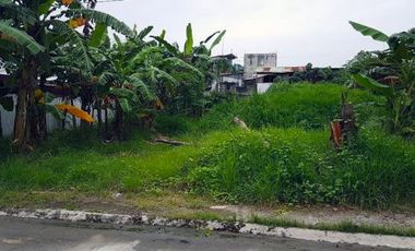 Stunning Vacant Lot for Sale in Sucat, Paranaque City