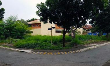 Stunning Vacant Lot for Sale in Sucat, Paranaque City
